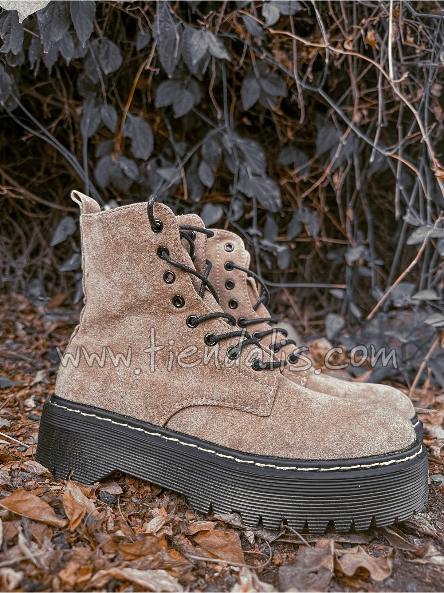 Boots Roma Beige